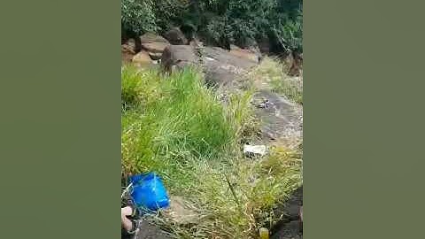 Du lịch Đà Lạt Bảo Lộc tắm suối , ngắm  thác.