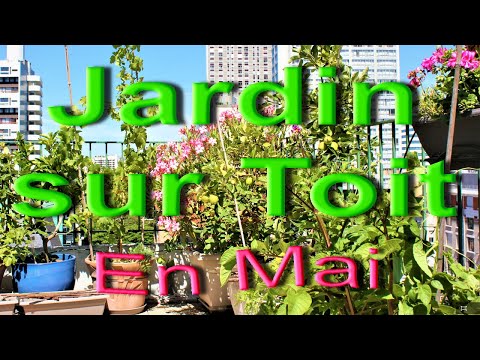 Vidéo: Le Jardin Aménagé Sur Le Toit