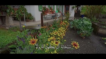 إِنَّمَا اللَّهُ إِلَٰهٌ وَاحِدٌ / سورة النساء - ياسر الدوسري 