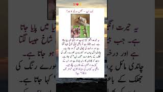 🐛 Buff-tip Moth – Nature’s Master of Disguise! 🌳🦋#quotes