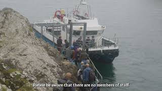 Skomer Island Overnight Stays - What to Know Before You Go