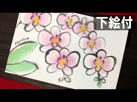 イラスト父の日【絵手紙妙華】「あの胡蝶蘭これなら描けます