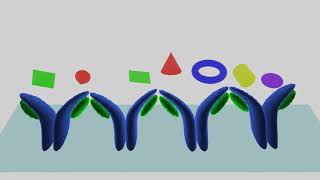 ELISA - How It Works: Steps and Principle - Animation