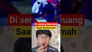Berkemah dengan Beruang 🐻 #facts #funny #science