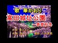 「高田城址公園」歌 華かおり 作詞 華かおり 作曲 滝ひろし 編曲  山田恵範