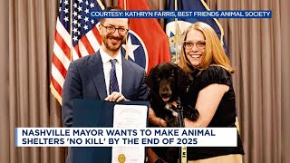 Nashville, TN mayor wants to make all area animal shelters 'no kill' by the end of 2025