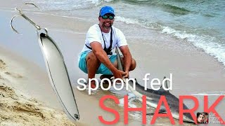 SHARK AT THE BEACH HOUSE!! SHIMANO TRANX 400 AND 20LB ANDE!! (FT. MORGAN)