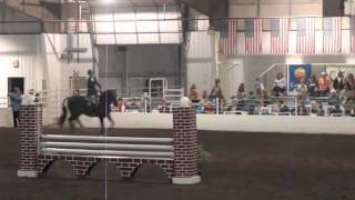 Maclay Regionals 2011