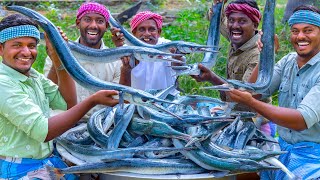 SNAKE Like Fish! 100 KG GARFISH Recipe Cooking | Fried and Tawa Dried Fish Fry | Seafood Recipes