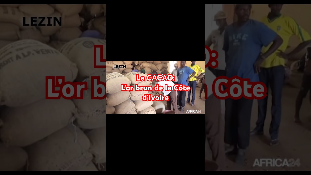 Le cacao: l’or brun de la Côte d’Ivoire 
