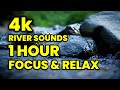 Rock in River Background - Peaceful Relaxing Sounds of Nature 1 Hour 4k