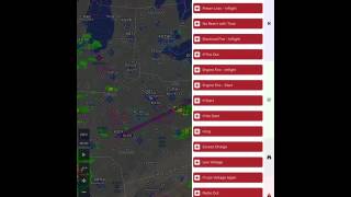 MiraCheck Overview screenshot 5