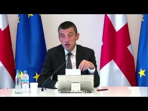 პრემიერ გიორგი გახარიას განცხადებები მთავრობის სხდომაზე