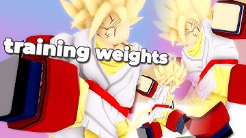 NEW TRAINING WEIGHTS AND DEFENSE STAT IN DRAGON GENERATIONS!