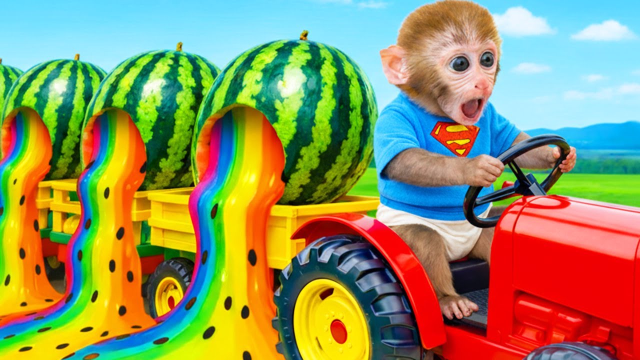 Affe JoJo erlebt ein großes Wassermelonen-Abenteuer im starken Regen | JoJo und Freunde