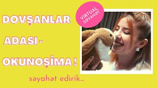 Dovşanlar Adasını Bu Qədər Yaxından Görmüşdünüz? - Okunoşima Adasına Virtual Səyahət Edirik