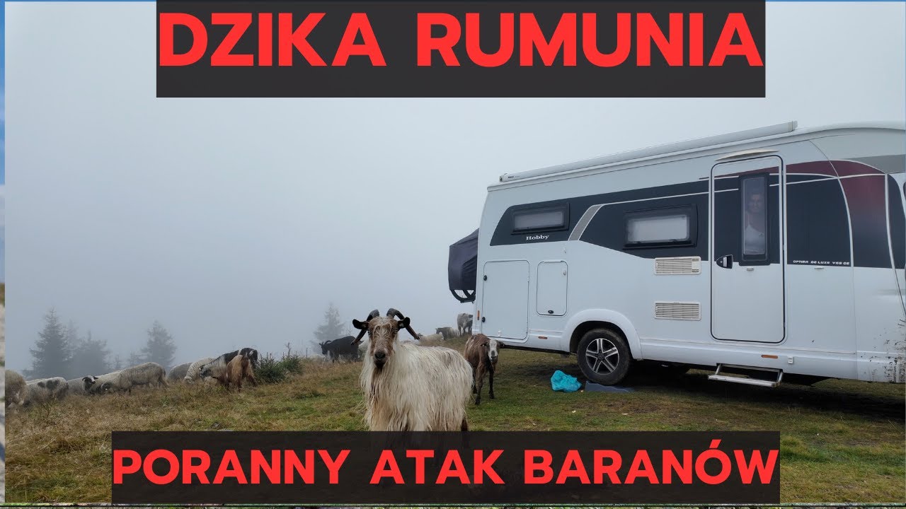 PRZYGODA  ŻYCIA: Ekstremalny Wjazd Camperem na Szczyty Gór Rumunii!