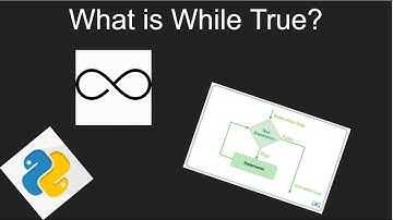 What is While True? (Python Programming)