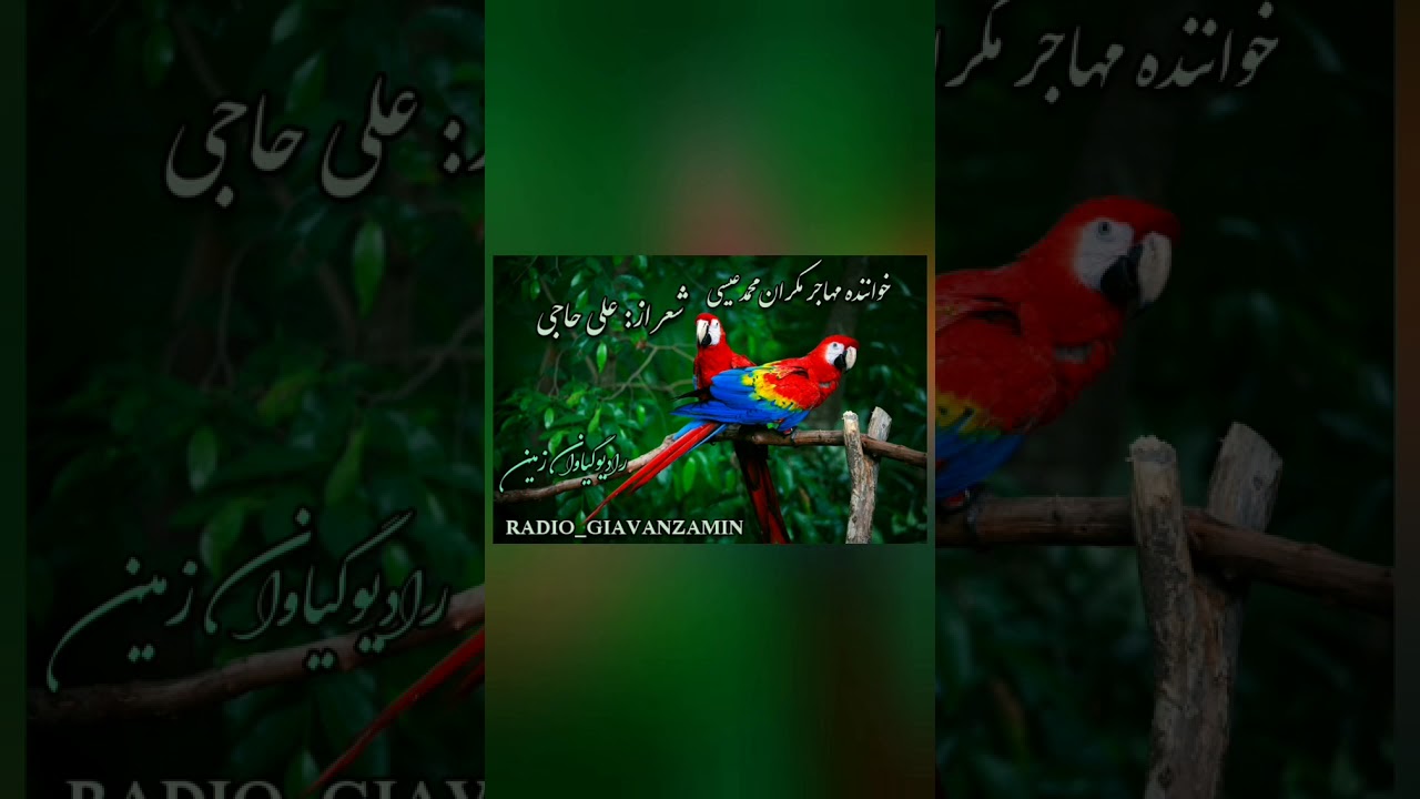 محمد عیسی .مکرانی