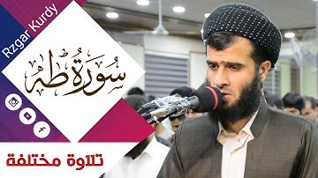 تلاوة مختلفة رزكار محمد الكردي  لم تسمعه من قبل