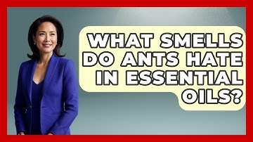 What Smells Do Ants Hate In Essential Oils? - Insects and Invaders