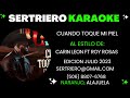 CUANDO TOQUE MI PIEL - CARIN LEON FT ROY ROSAS DEMO SERTRIERO KARAOKE