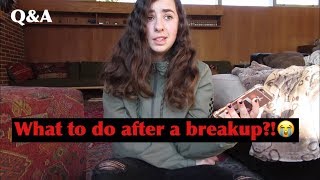 Q&A 2019! || Wolfblogs