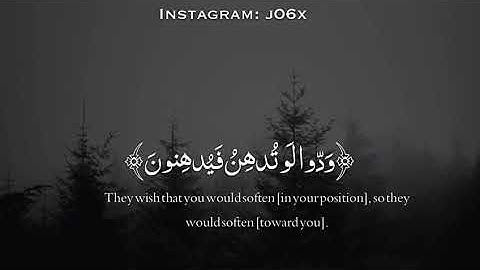 سورة القلم / القارئ / فلا تطع المكذبين / حالات وتساب / قران كريم / تلاوة جميله / صوت جميل / انستغرام