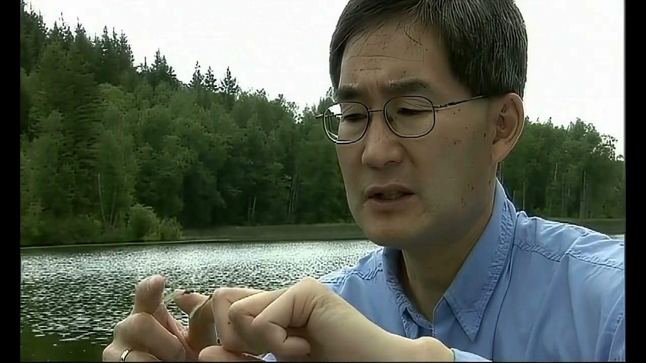 Brian Chan's Fly Fishing Tutorial Tips and Tricks from the Pro