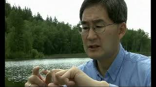 Brian Chan's Fly Fishing Tutorial - Tips and Tricks from the Pro - Damsels and Dragons