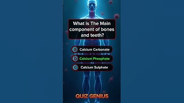 Human Anatomy Quiz 👃🏻👄👀 #quiz  #quiztime #quizchallenge