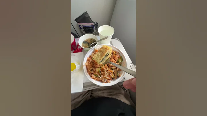 Everything I Ate on My Asiana Airlines Economy Flight ✈️🇰🇷