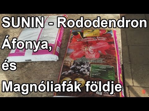 Videó: Rhododendron gondozás – Tippek a rododendron bokor termesztéséhez