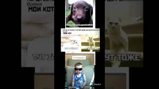 мем #україна #мемы #нетвойне #карантин #какашка