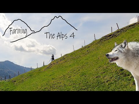 Guarding the sheep from wolves. (Farming The Alps #4)
