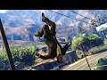 CRAZY PARKOUR STUNT! - (GTA 5 Funny Challenges)