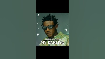 MY DARLING (REMIX) BY SHALLIPOPI #shallipopi #mydarling #remix #chella @shallipopi