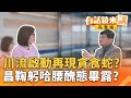 反罷免運動