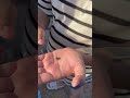 Ракушка с ножками