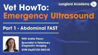 Emergency Ultrasound: Abdominal FAST