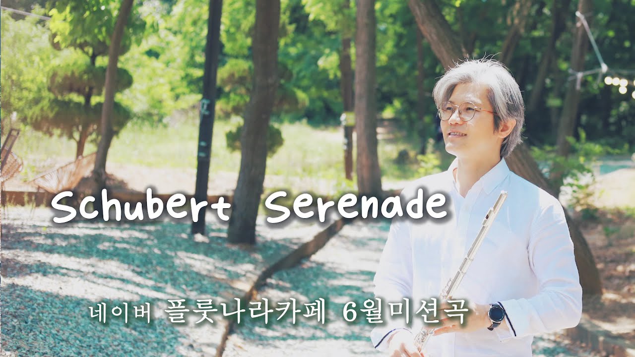슈베르트 세레나데 Schubert: Serenade 플루트연주