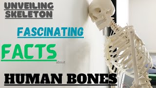 "Bone Facts: Unveiling the Fascinating and interesting Secrets of the Human Skeleton"#facts