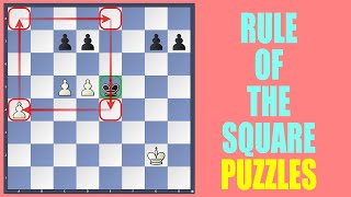 INSANE Puzzles (Rule of the Square)