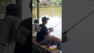 Kalo mancingYang begini yang di cari #music #love #remix #dance #edm #mancing #fishing
