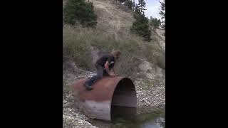 WILD Dumpster Dive Fish Catch