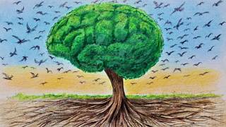 Virtue Epistemology & Cartesian Skepticism: Evan and Erik Interview