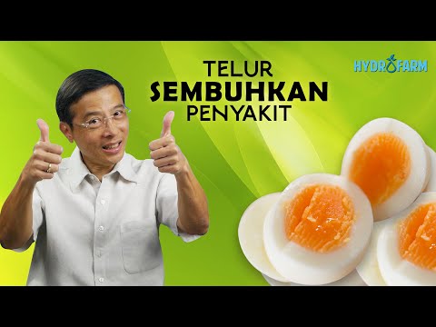 Video: Adakah telur busuk membuat anda sakit?