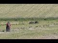 GALGOS ESPECTACULARES (TORMENTA VS SOLEDAD)