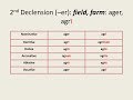 Latin for Beginners Lesson 2: First and Second Declension Nouns