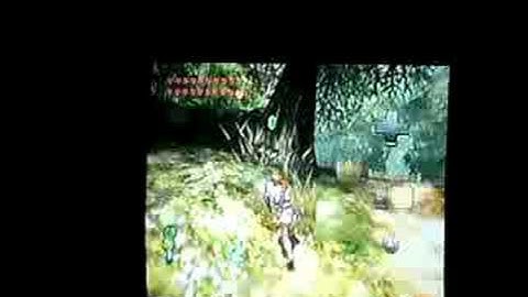 Cool ordon gate glitch and early lantern.